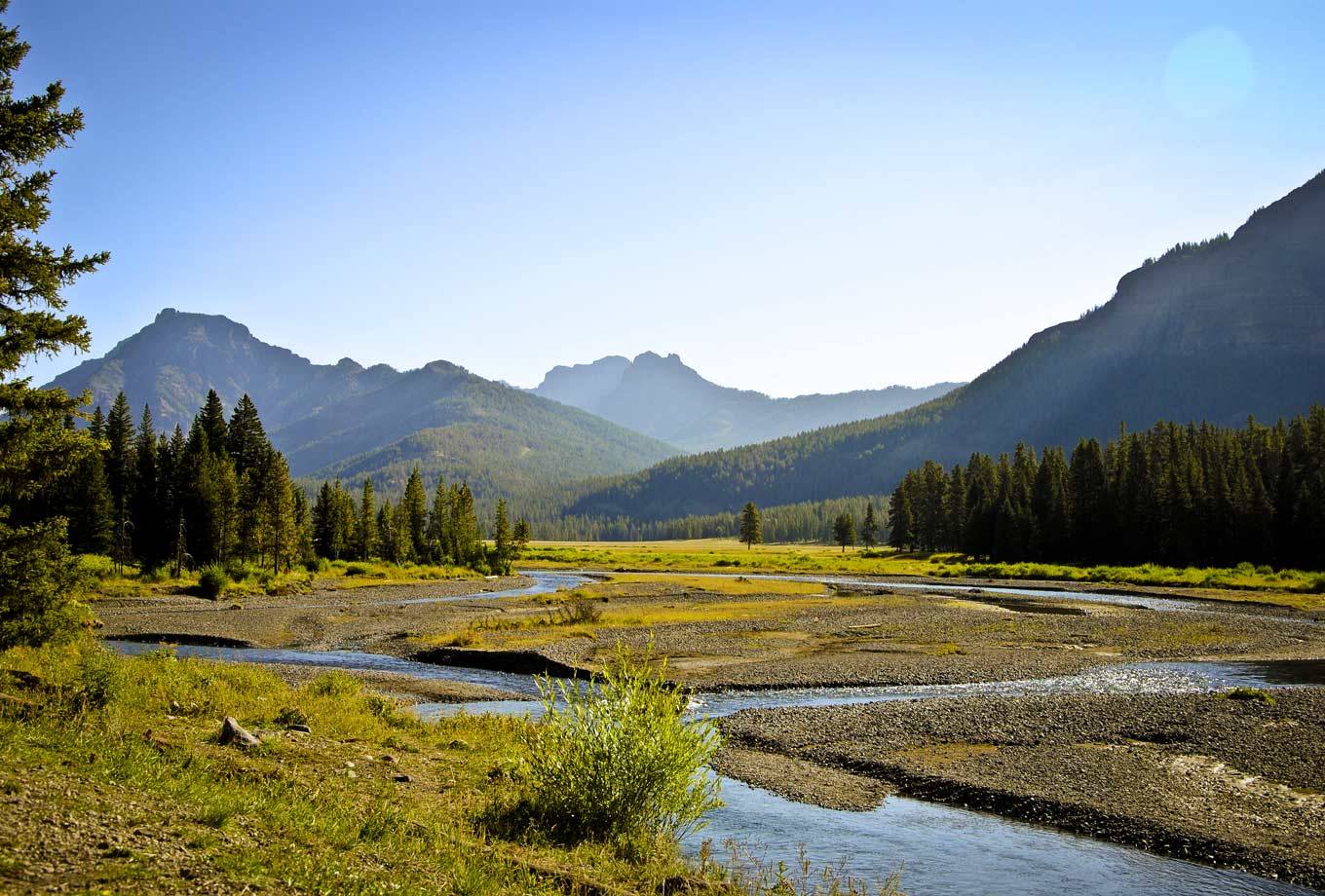 Yellowstone National Park's Lamar Valley in summer
